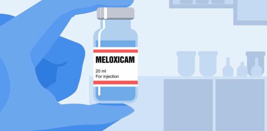 Meloxicam-addiction